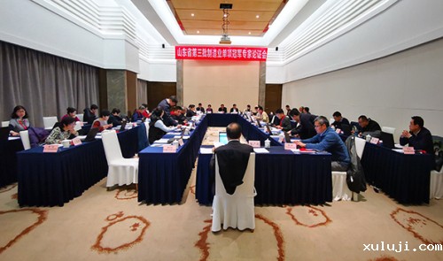山东省第三批制造业单项冠军专家论证会在京召开