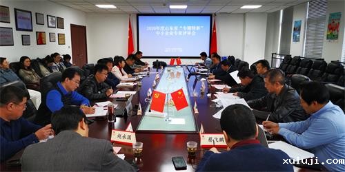 我会参与完成2020年度山东省“专精特新”中小企业评审工作